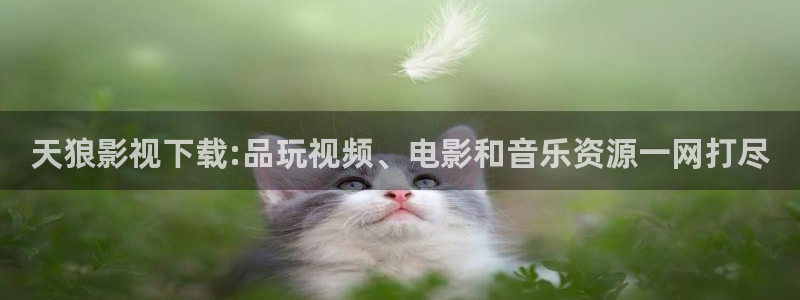 白云视频纯净版