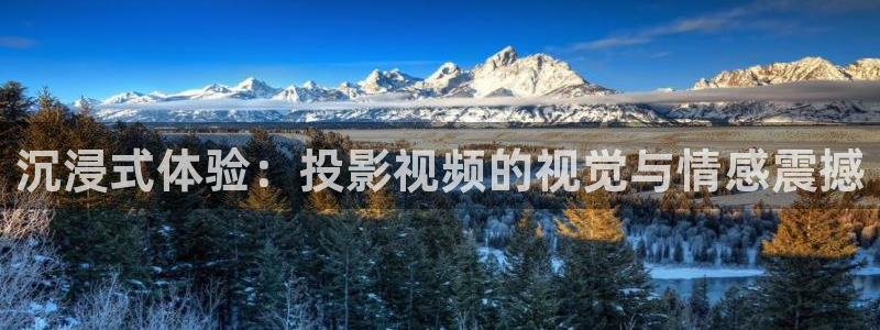 白云视频无广告