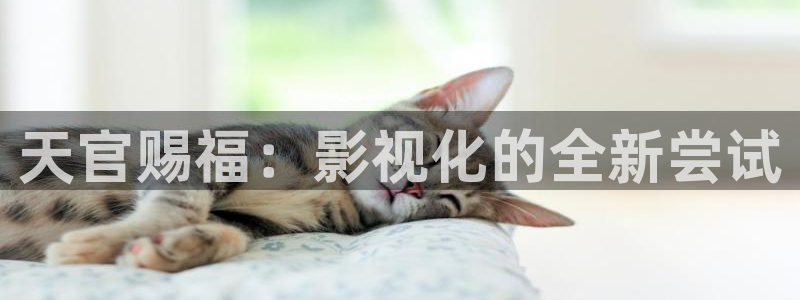 白云视频app