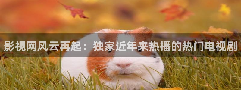 广州白云机场视频