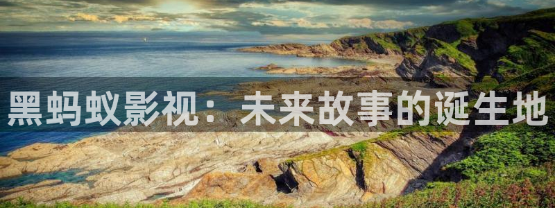 白云视频官网
