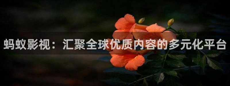 白云 视频