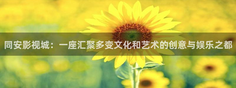 白云视频官网