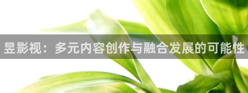 白云视频追剧免费