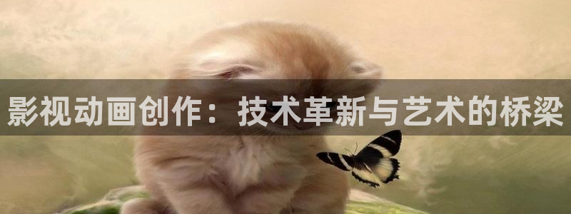 高山白云视频