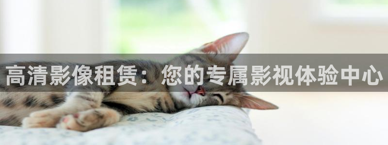 白云视频免费观看