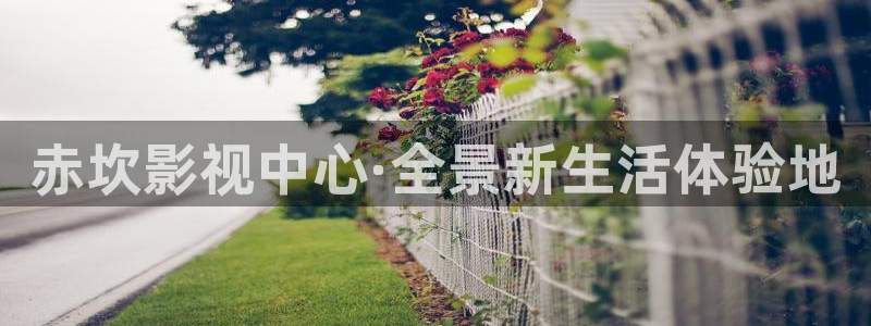 视频白云